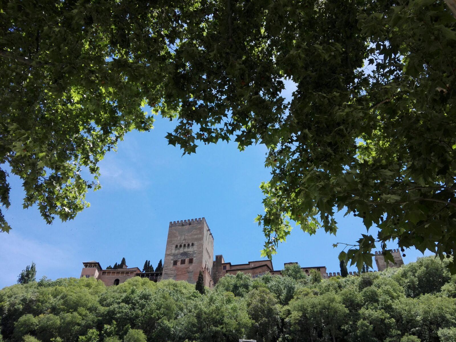Vistas de la Alhambra desde el Albayzín. Alhambra y Albayzín