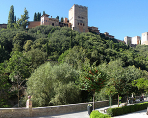 Free tour granada